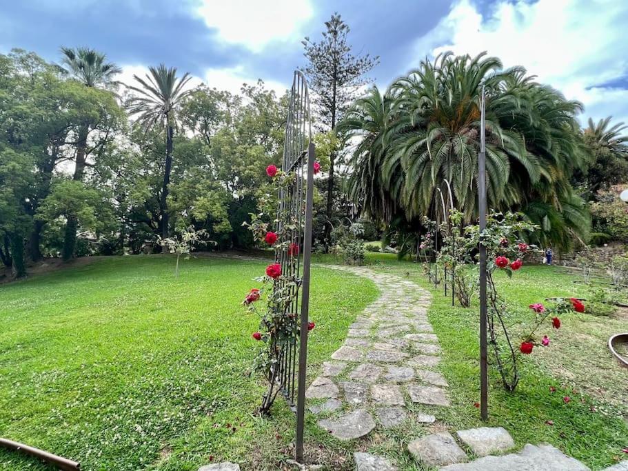 Special Home Vista Mare E Parcheggio Privato Sanremo Eksteriør billede