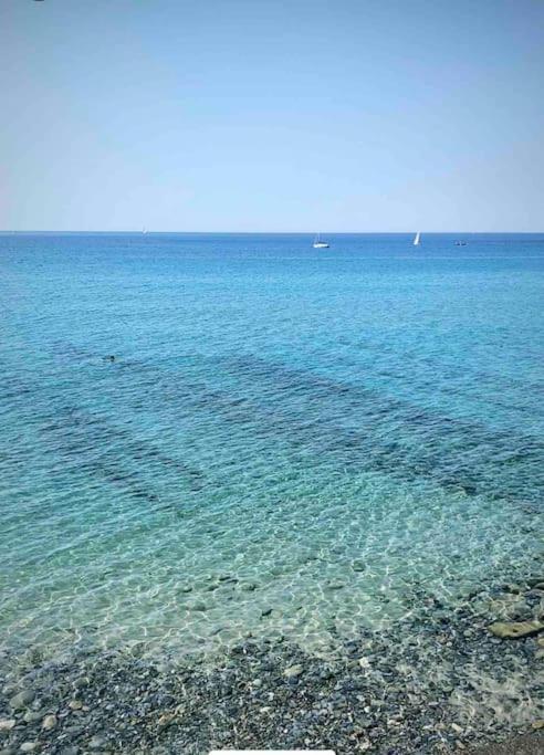 Special Home Vista Mare E Parcheggio Privato Sanremo Eksteriør billede